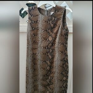 Brown/Green Snake Print Skirt Suit
